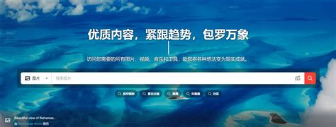 Shutterstock Tutorial 的图像结果