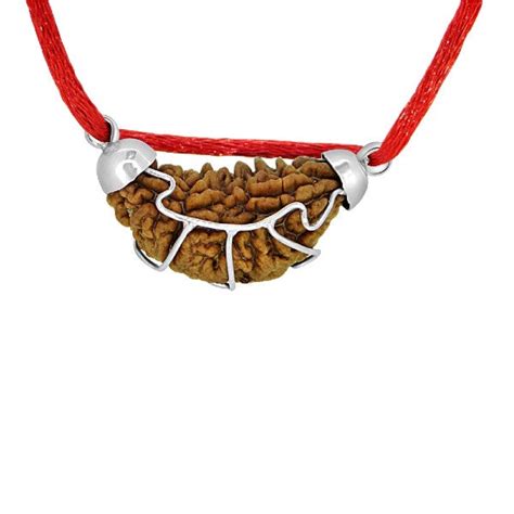 1 Mukhi INDIA RUDRAKSHA SILVER 925 PENDANT / One Faced RUDRAKSHA 100% ...