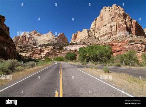 Image result for Examples of Machine Learning Applications