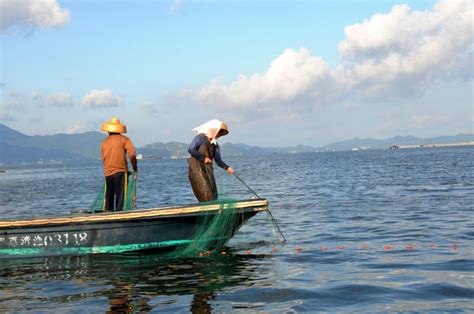 海边渔民的捕鱼生活，在大海中谋生，感受不一样的劳动之美|捕鱼|渔民|谋生_新浪新闻