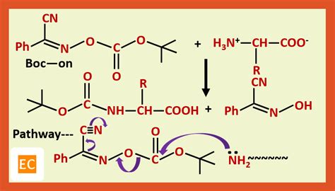 ELEMENTAL CHEMISTRY: Peptide Synthesis