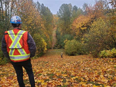 Image result for Subsurface Utility Engineering Jobs