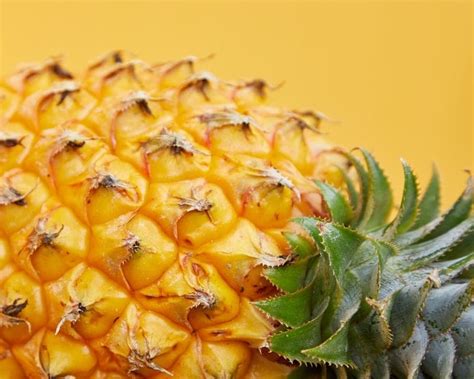 Image result for Color Emphasis Photography