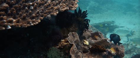 Deep Blue Connection on Behance