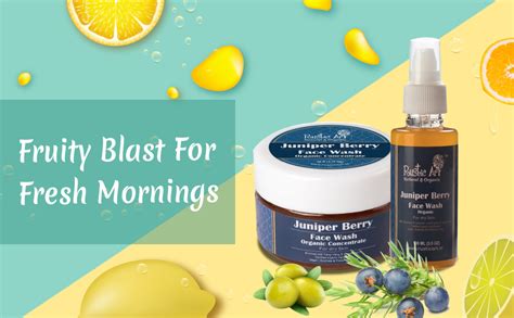 Rustic Art Organic Sandal Face Wash | Combination to All Skin Types ...