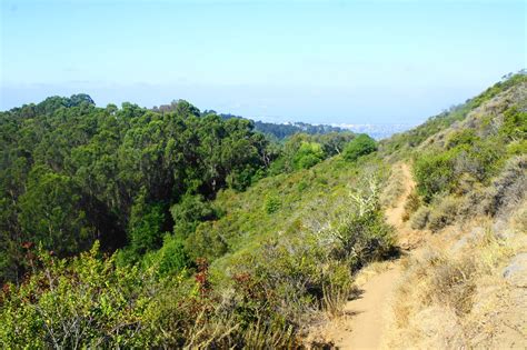 Claremont Canyon & UC-Berkeley Hikes – Live and Let Hike