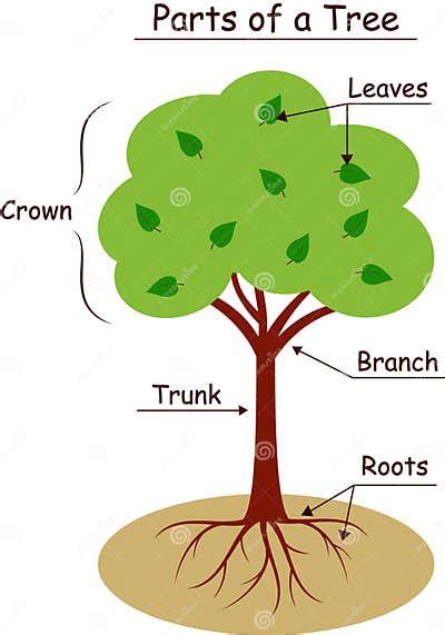 Image result for Tree Structure HTML/CSS