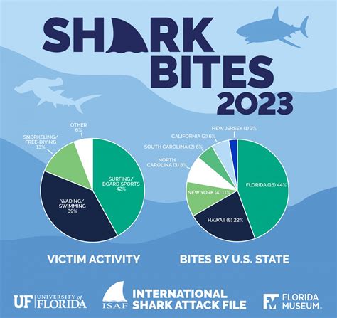 Shark bites consistent with recent trends, with small spike in ...