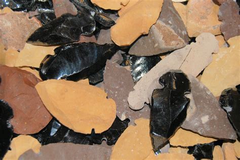 Science Technology Difference 的图像结果