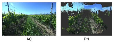 Weed Mapping in Vineyards Using RGB-D Perception