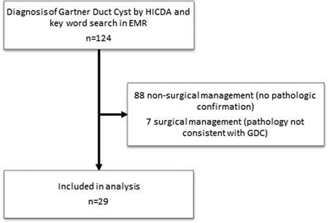 Clinical Manifestations and Outcomes in Surgically Managed Gartner Duct Cysts - Journal of ...