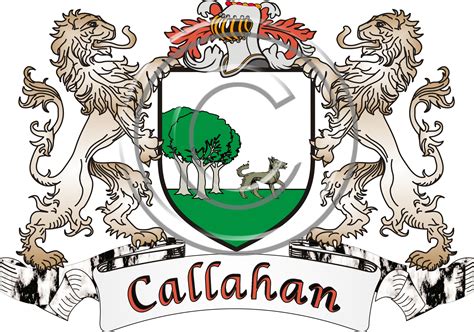 Theirishrose.com | Callahan Irish Coat of Arms