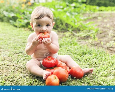 Can Babies Eat Tomatoes