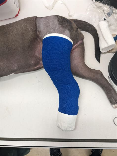 Modified Robert-Jones Bandage – Brian's Bandages