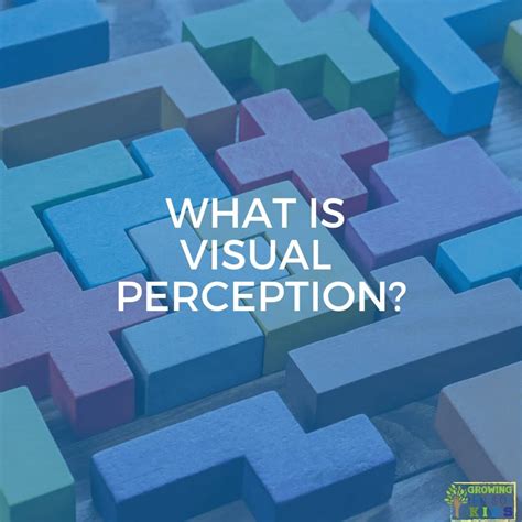 Image result for Visual Perception Meaning