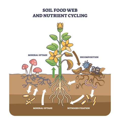 Nematodes Explained: The Good, the Bad and the Harmful | Entomology and Nematology Online ...