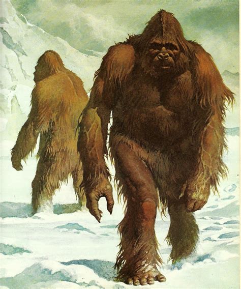 yeti illustration