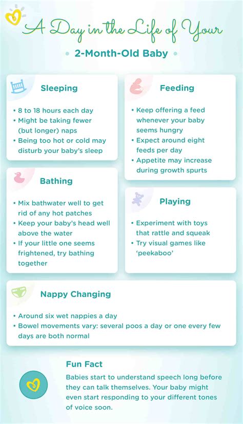 2 Month Old Schedule