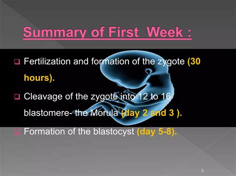 Image result for Third Week of Embryonic Development