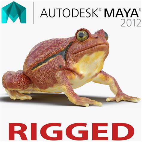 Image result for Frog Mesh Tutorial Maya