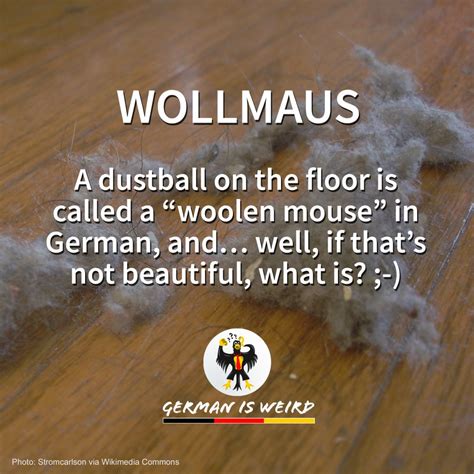 German is Weird - Wollmaus - Funny German words