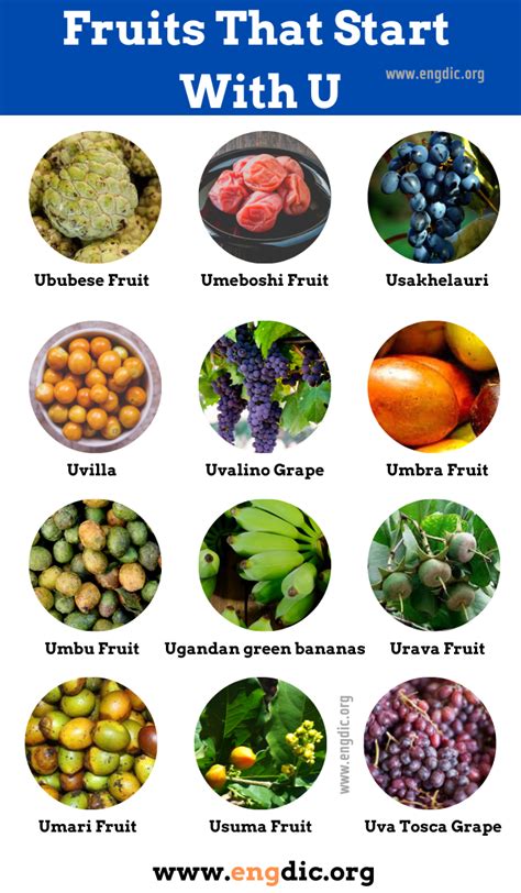 Fruits That Start With U at Samuel Mcintosh blog