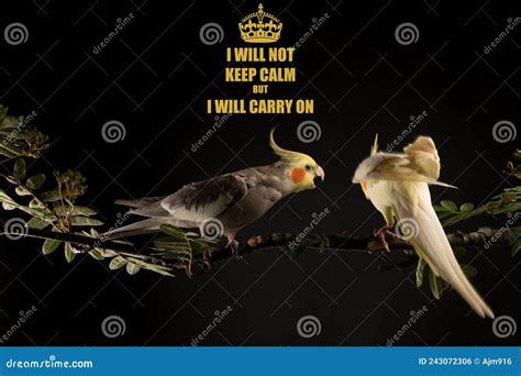 Image result for Course Notes for Instructors Example