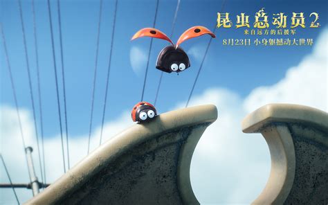 《昆虫总动员2》发布丛林版海报 定档8月23日_娱乐频道_中国青年网