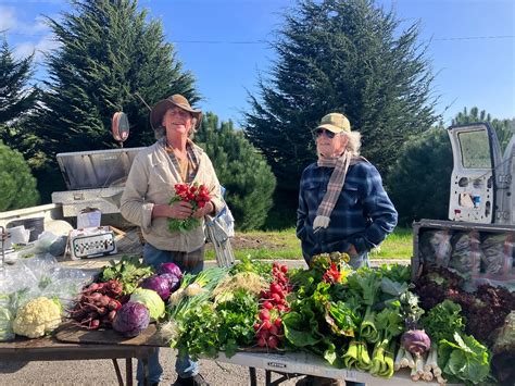 Cambria Farmers Market (@cambriafarmersmarket) • Instagram photos and ...