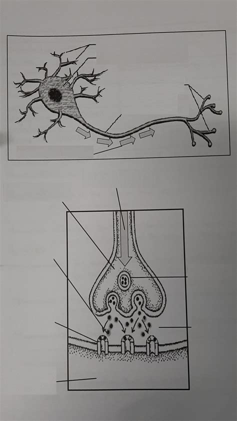 Biological Approach Examples 的图像结果