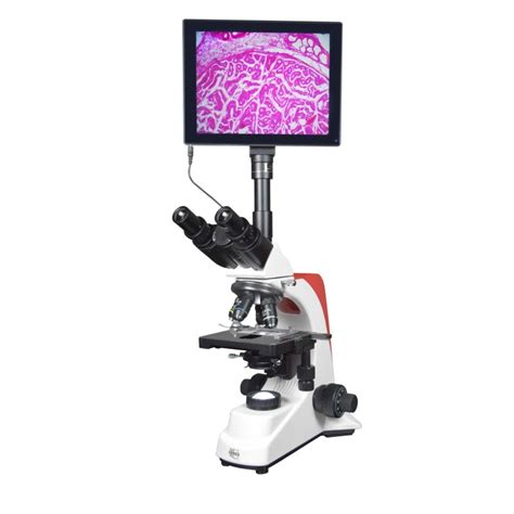 Buy ESAW Inclined Digital Head Teaching Microscope with 7” LCD Screen