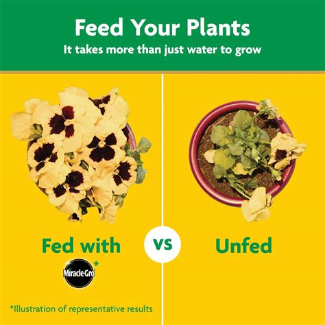 Miracle-Gro Plant Food Review - Hydroponic Gardening