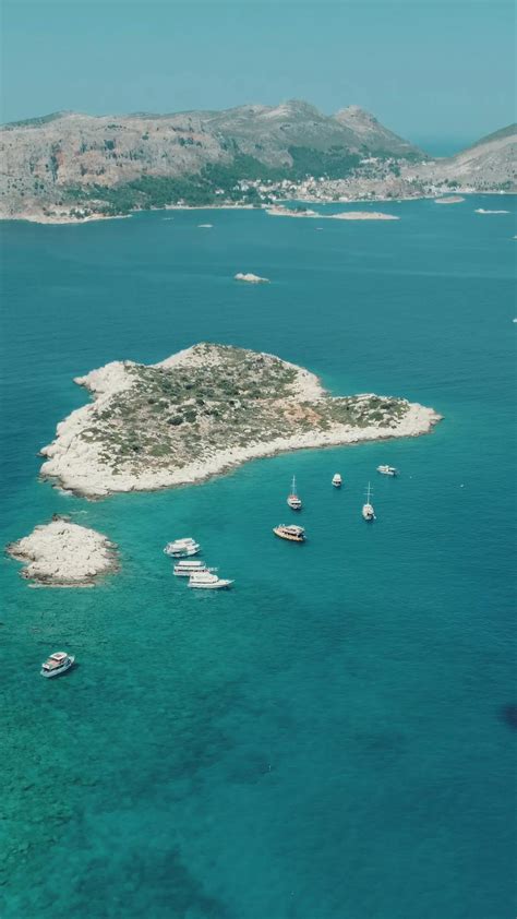 Zoophilie+Video+Horse Videos, Download The BEST Free 4k Stock Video Footage & Zoophilie+Video ...