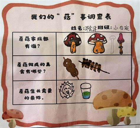 【课程故事】我们的“菇”事 ——小四班班本故事 - 班级新闻 - 永嘉县第三幼儿园