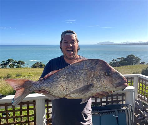 Learn about fishing off the rocks in New Zealand using bait