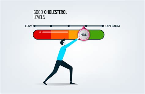 Good cholesterol levels gauge with arrow indicator for healthcare and heart health analysis, a ...