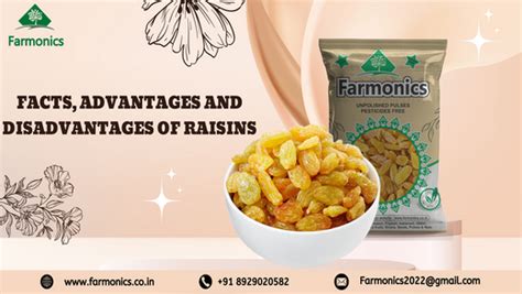 Facts, advantage and disadvantage of raisins- Farmonics