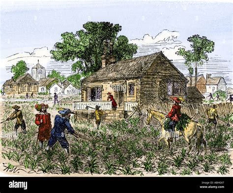 New Hampshire Colony Farming