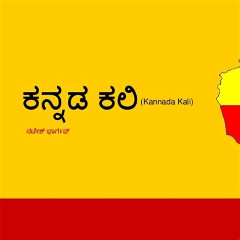 Image result for IB Programme Visual