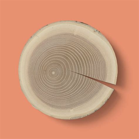 Image result for Log Top View Sprite