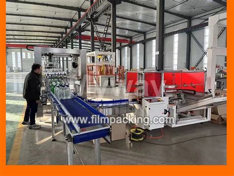 Image result for Case Packer Types