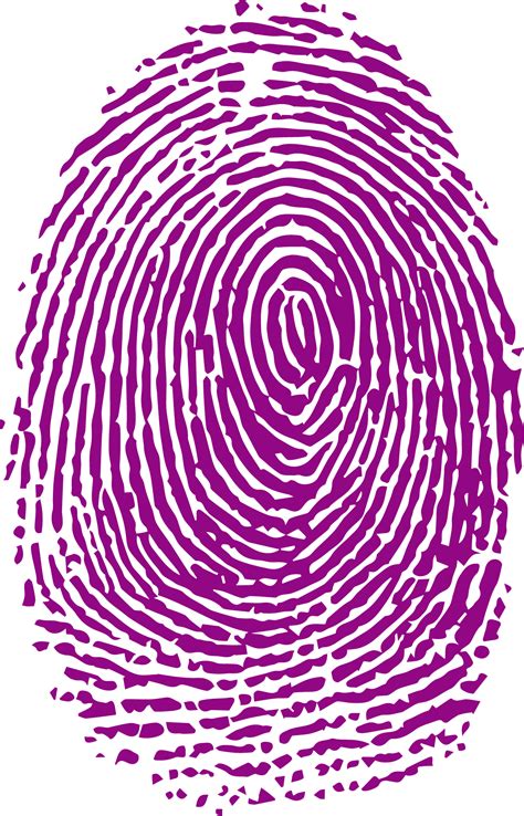 Image result for Fingerprint Science