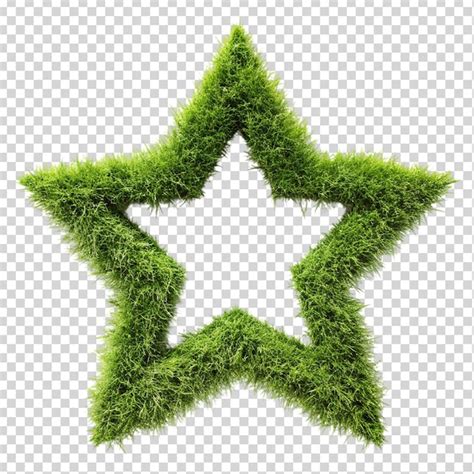 Green grass field in star shape on transparent background | Premium AI ...