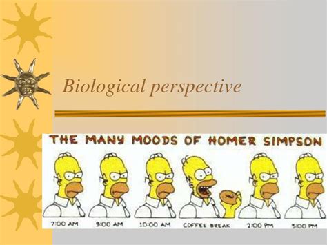 Biological Perspective Examples 的图像结果