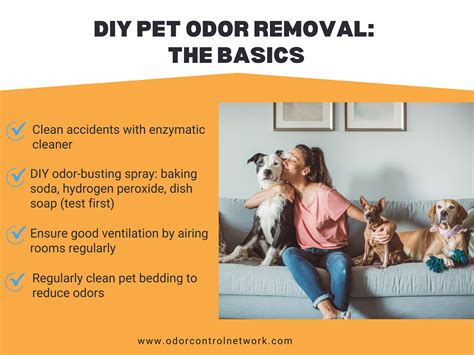 Ultimate Guide to Choosing a Pet Odor Removal Service - Odor Control ...
