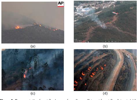Image result for Modeling Forest Fire Using Maxent
