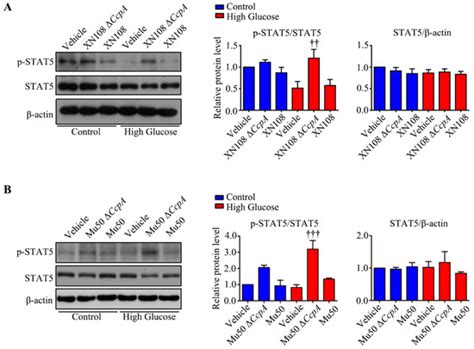 Pathogens | Special Issue : Staphylococcus Infections in Humans and Animals