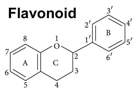 Flavonoids Structure Analysis Service Proteomics Creative Classes Figure Main Sketch Coloring Page