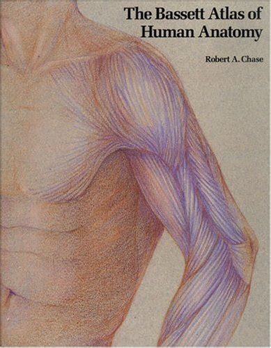 The Bassett Atlas of Human Anatomy