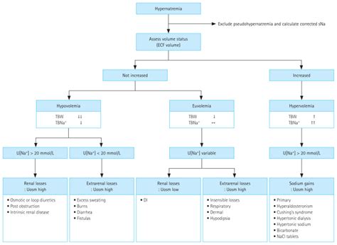 Hypernatremia Algorithm 的图像结果
